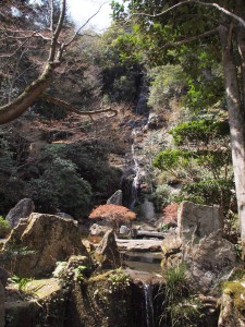 春の三滝寺